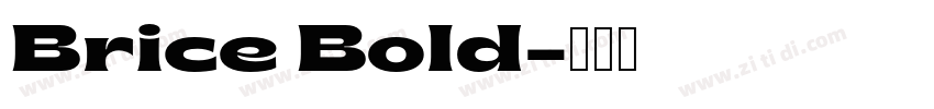 Brice Bold字体转换